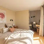 Breathtaking 2bd Roof-top Patio 19e!